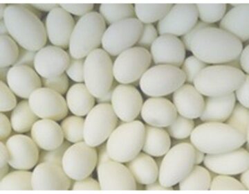 Lolly Candy Bulk Pack (8kg Box) Sugar Coated Almonds White